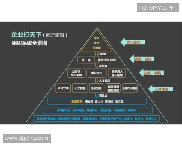 杭州篮球队的节奏探秘：从战术布局到球员配合的全景分析