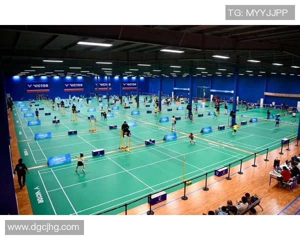 成都羽毛球队在全国锦标赛中的实力展现与未来发展潜力分析