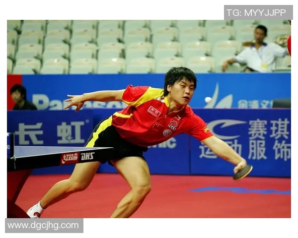 杭州乒乓球队转型之路的挑战与机遇全面解析