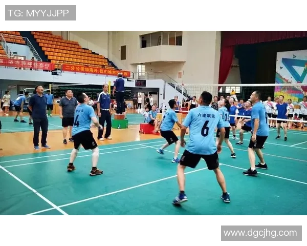 张娜的排球之路：从赛场拼搏到人生哲学的对话分享