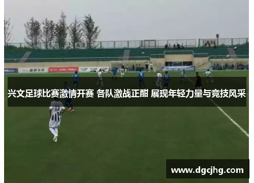 兴文足球比赛激情开赛 各队激战正酣 展现年轻力量与竞技风采