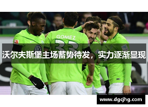 沃尔夫斯堡主场蓄势待发，实力逐渐显现
